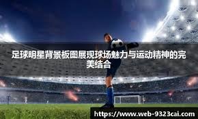 《卡牌泡沫：为什么一张大谷翔平的新秀卡能换一套房？》