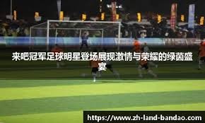 [中超]高天意头球破门 上海申花1-0山东泰山