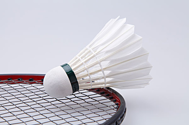 分析软件显 分析软件显